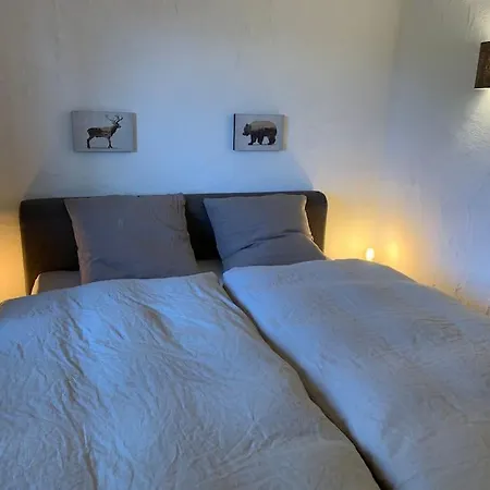 Magnifique A Villars, Vue Sur Les Alpes Apartment
